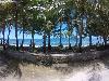 Vacant Lot Suitable for Resort for Sale in Siargao Island